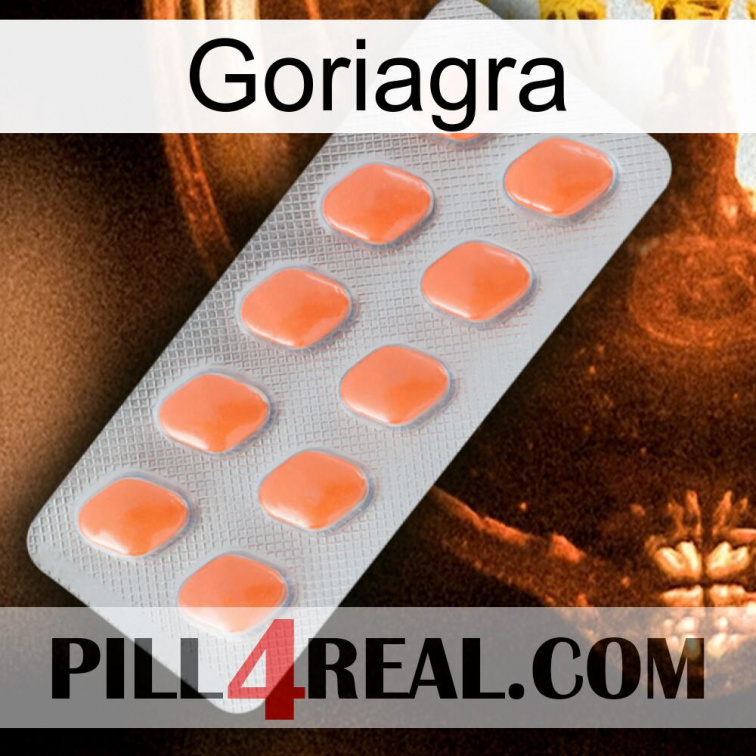 Goriagra 26